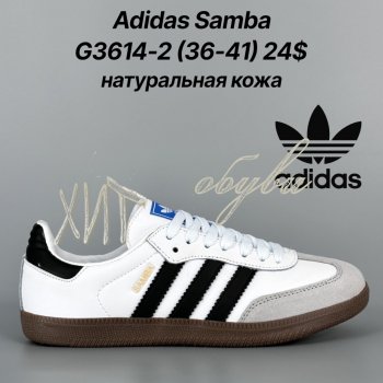 Кросівки Classica G3614-2