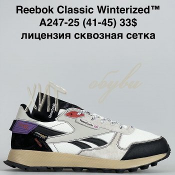 Кросівки Baas A247-25