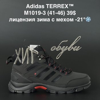 Кросівки Adidas M1019-3