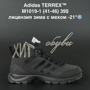 Кросівки Adidas M1019-1