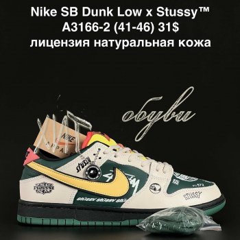 Кросівки  Nike A3166-2