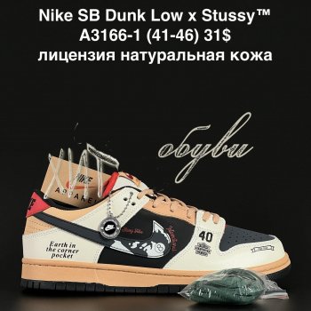 Кросівки  Nike A3166-1