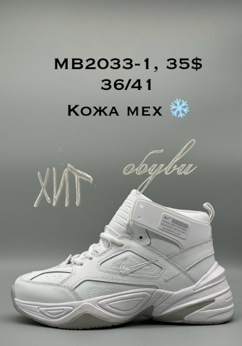 Кросівки Nike MB2033-1