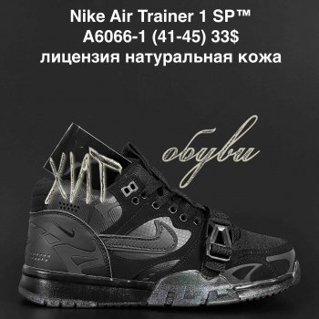 Кросівки  Nike A6066-1
