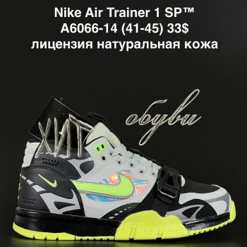 Кросівки  Nike A6066-14