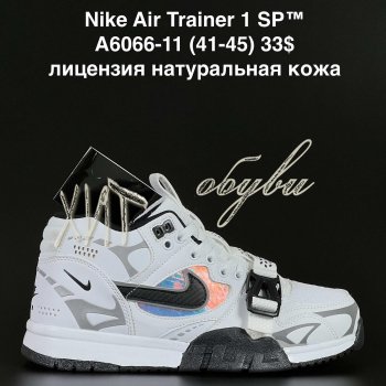 Кросівки  Nike A6066-11