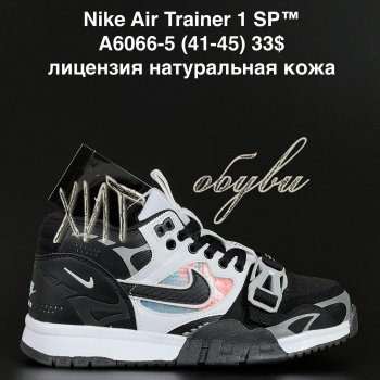 Кросівки  Nike A6066-5