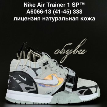 Кросівки  Nike A6066-13