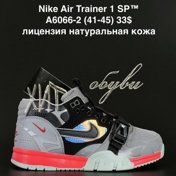 Кросівки  Nike A6066-2