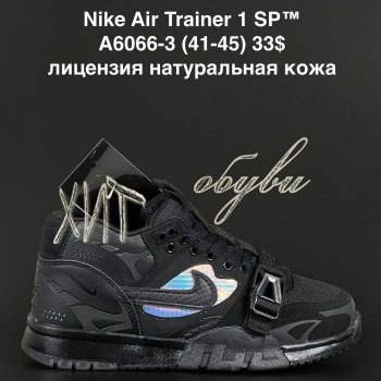 Кросівки  Nike A6066-3