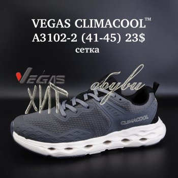 Кросівки Vegas A3102-2