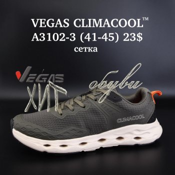 Кросівки Vegas A3102-3
