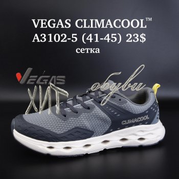 Кросівки Vegas A3102-5
