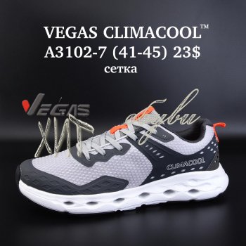 Кросівки Vegas A3102-7