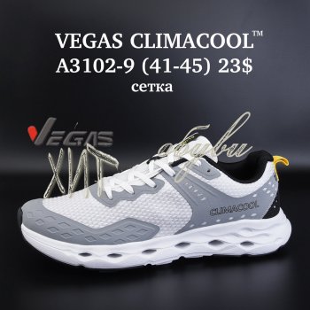 Кросівки Vegas A3102-9