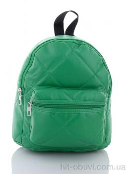 Рюкзак David Polo 2056-1 green