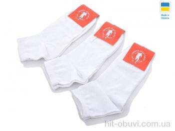 Шкарпетки Textile 020 white