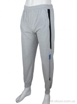 Спортивные брюки Red Hat 1119 l.grey