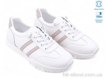 Кросівки Allshoes 196798