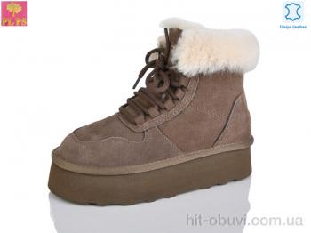 Ботинки PLPS 5856 brown