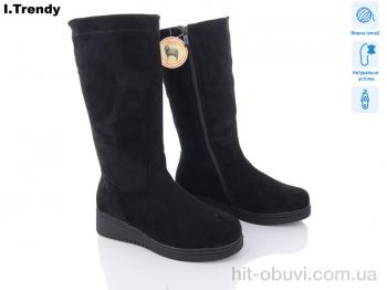 Чоботи Trendy 9002-11A