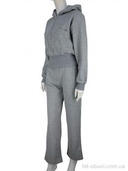 Спортивний костюм Fabullok WLT4366 grey