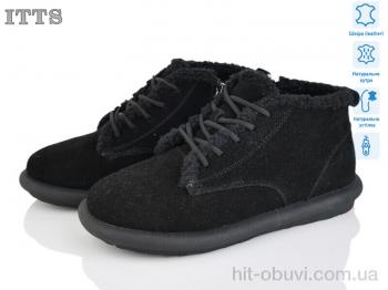 Уги ITTS, DX12-1