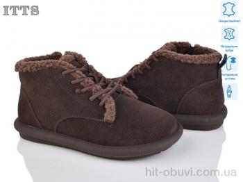 Уги ITTS, DX12-41