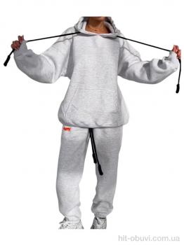 Спортивний костюм Шик-Шок 810 grey