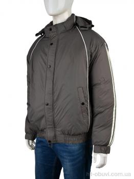 Куртка Мир 4238-C1166-2 grey