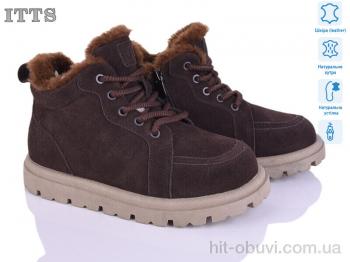 Черевики ITTS N050-41