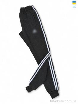 Спортивные брюки Sport style 001-1 AD т.сірий