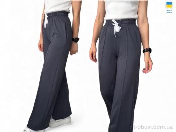 Спортивные брюки Sport style 1048  графіт