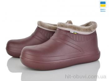 Галоші Golden Lion 7004 шоколад