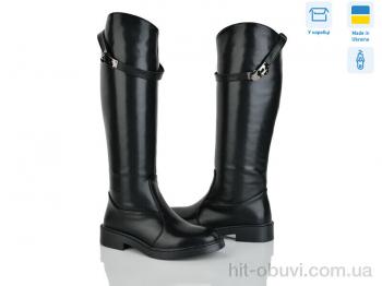 Чоботи Ailinda 05006-2ДБ