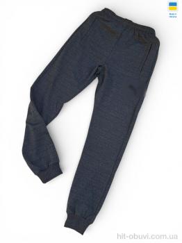 Спортивні штаны Sport style 02Pu т.сірий