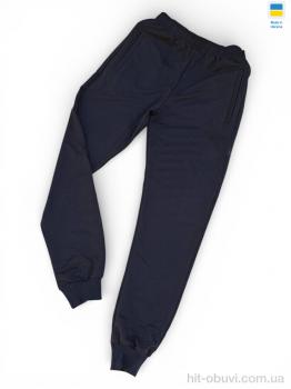 Спортивні штаны Sport style 02Pu т.синій