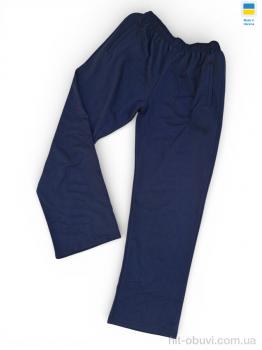 Спортивні штаны Sport style 10Pu т.синій