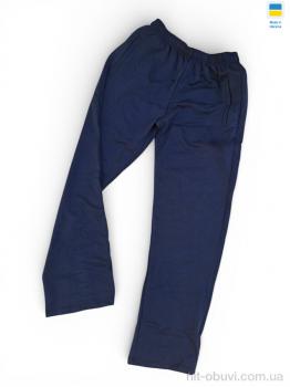 Спортивні штаны Sport style 20Pu синій