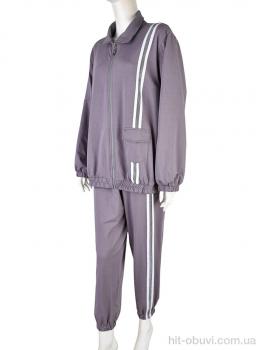 Спортивний костюм Мир 4011-373 grey