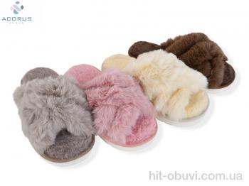 Капці Acorus, 25-60 mix