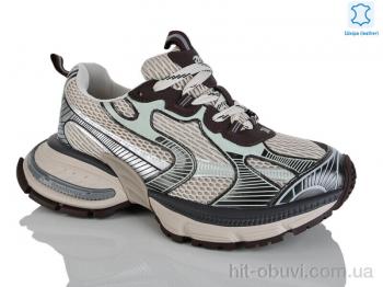 Кросівки Teetspace-Trasta-Egga WDP1835-33