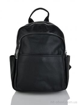 Рюкзак Favorit GSG017-4 black