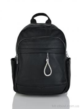 Рюкзак Favorit GSG017-9 black