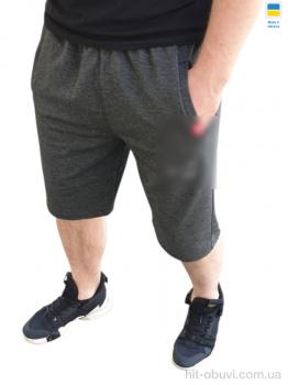 Шорты Sport style 02NK б т.сірий