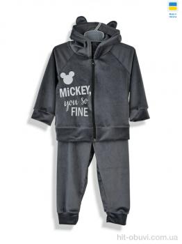 Костюм Kir15 183262 сірий