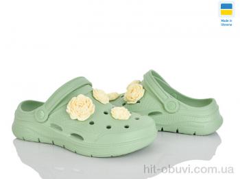 Крокси Golden Lion 411 фісташки