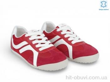 Кросівки Allshoes 207421