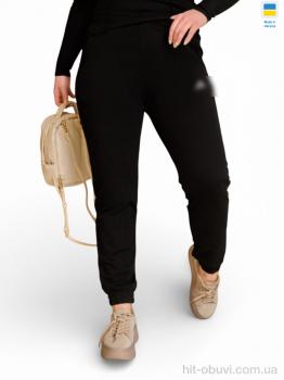 Спортивные брюки Sport style 10231AD чорний