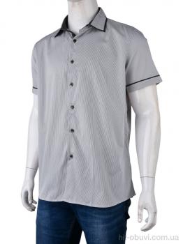 Рубашка Obuvok PO-148 (12527) black